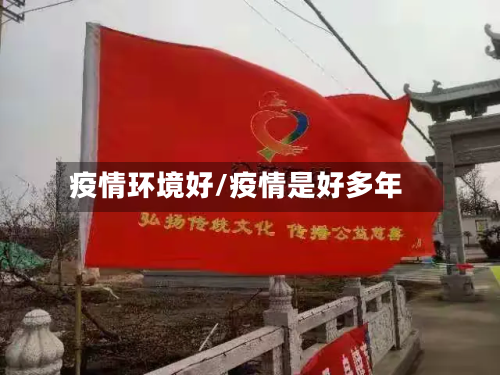 疫情环境好/疫情是好多年-第2张图片