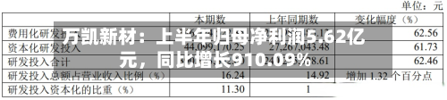 万凯新材：上半年归母净利润5.62亿元，同比增长910.09%-第1张图片