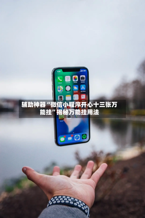 辅助神器“微信小程序开心十三张万能挂”揭秘万能挂用法-第2张图片
