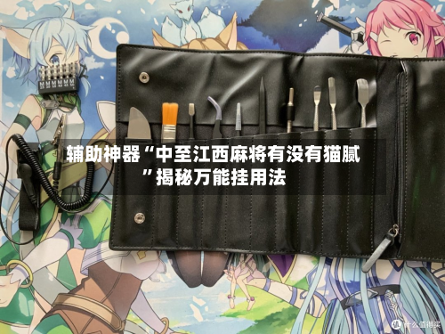 辅助神器“中至江西麻将有没有猫腻”揭秘万能挂用法-第1张图片