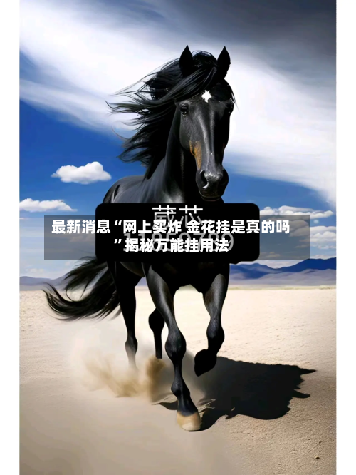 最新消息“网上买炸 金花挂是真的吗”揭秘万能挂用法-第1张图片