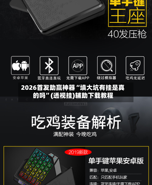 2026首发助赢神器“填大坑有挂是真的吗	”(透视挂)辅助下载教程-第1张图片
