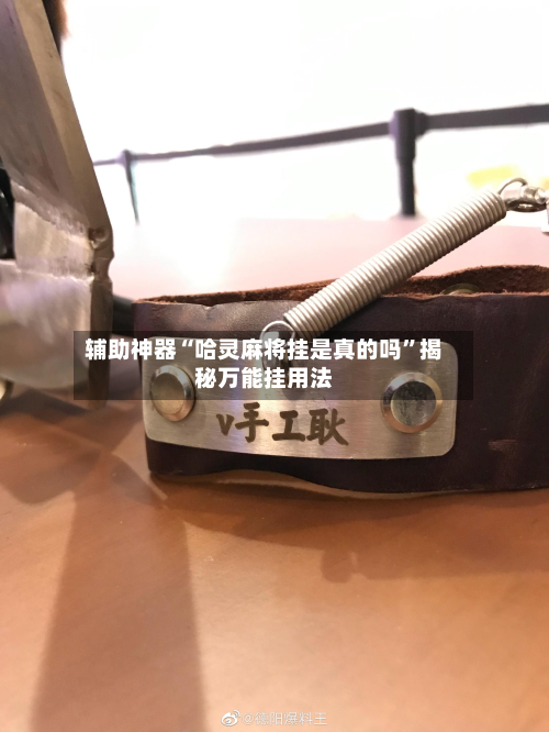 辅助神器“哈灵麻将挂是真的吗”揭秘万能挂用法-第1张图片
