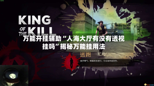 万能开挂辅助“人海大厅有没有透视挂吗”揭秘万能挂用法-第3张图片
