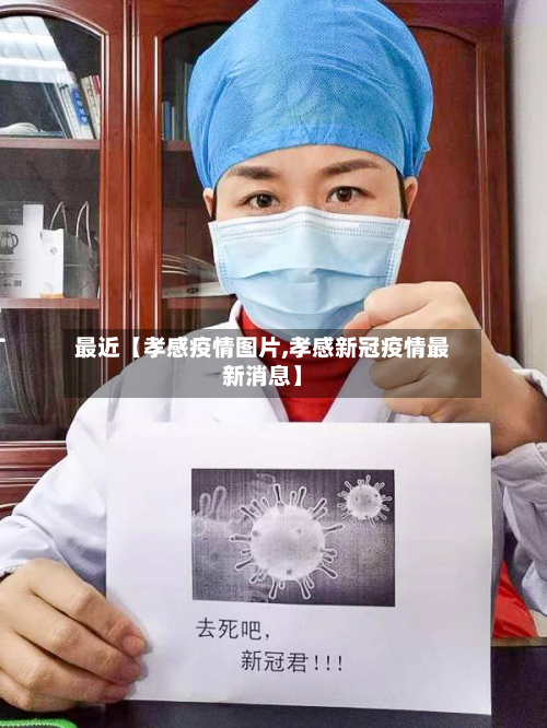 最近【孝感疫情图片,孝感新冠疫情最新消息】-第1张图片