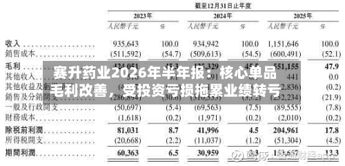 赛升药业2026年半年报：核心单品毛利改善，受投资亏损拖累业绩转亏-第1张图片