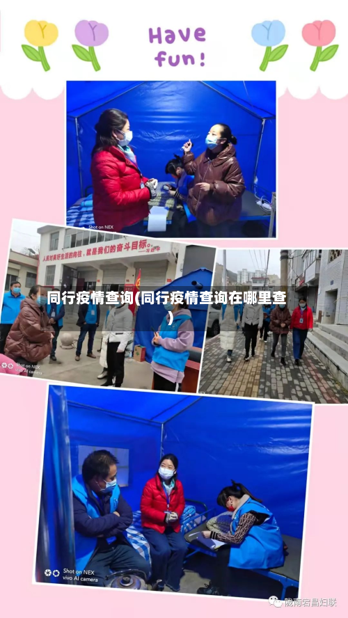 同行疫情查询(同行疫情查询在哪里查)-第1张图片