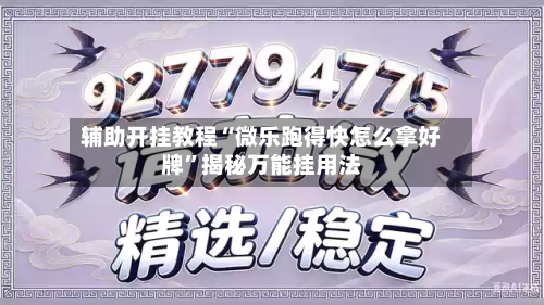 辅助开挂教程“微乐跑得快怎么拿好牌”揭秘万能挂用法-第2张图片