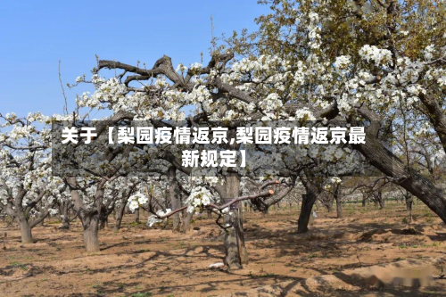 关于【梨园疫情返京,梨园疫情返京最新规定】-第3张图片
