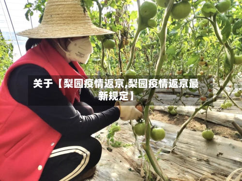 关于【梨园疫情返京,梨园疫情返京最新规定】-第1张图片