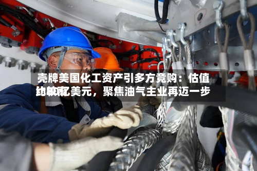 壳牌美国化工资产引多方竞购：估值比较高约80亿美元	，聚焦油气主业再迈一步-第2张图片