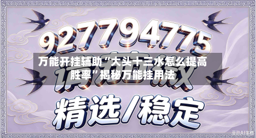 万能开挂辅助“大头十三水怎么提高胜率”揭秘万能挂用法-第1张图片