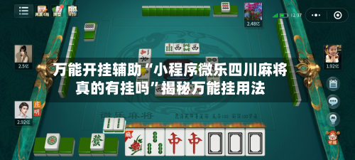万能开挂辅助“小程序微乐四川麻将真的有挂吗”揭秘万能挂用法-第3张图片