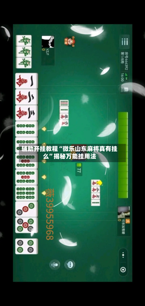辅助开挂教程“微乐山东麻将真有挂么”揭秘万能挂用法-第1张图片