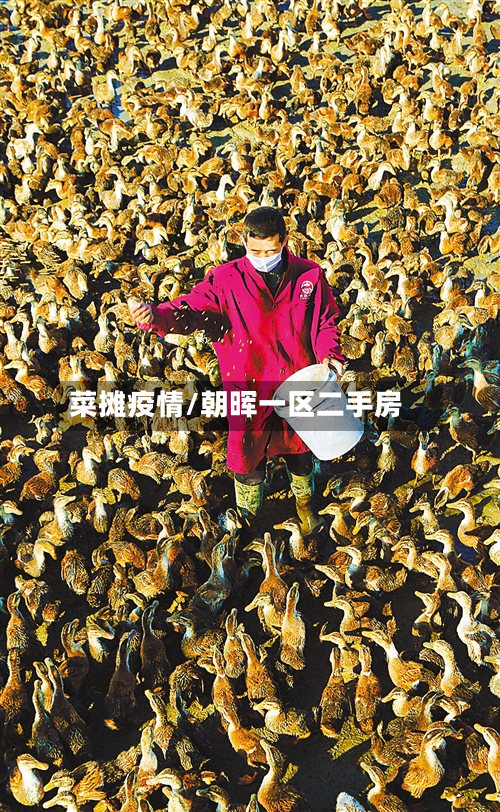 菜摊疫情/朝晖一区二手房-第1张图片