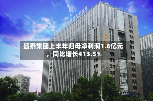 盛泰集团上半年归母净利润1.6亿元，同比增长413.5%-第3张图片