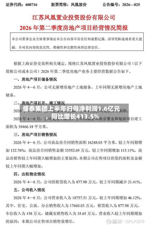 盛泰集团上半年归母净利润1.6亿元，同比增长413.5%-第2张图片