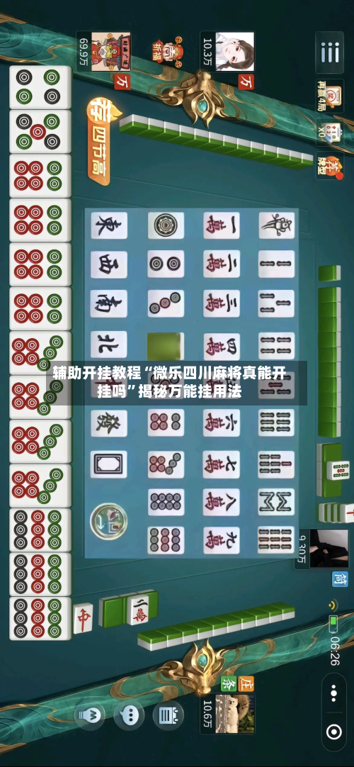 辅助开挂教程“微乐四川麻将真能开挂吗”揭秘万能挂用法-第2张图片
