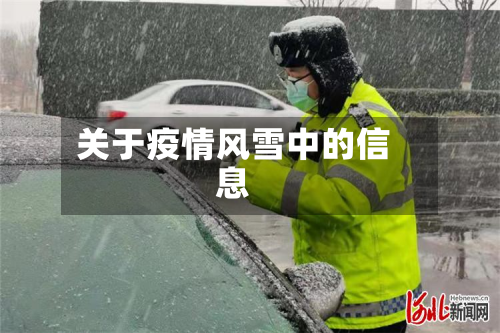 关于疫情风雪中的信息-第2张图片