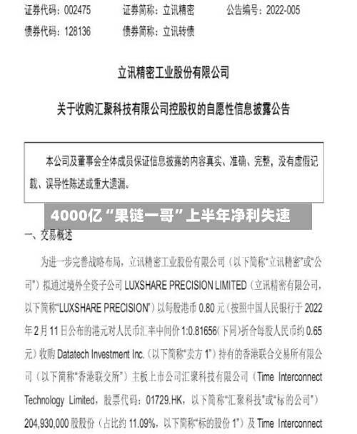 4000亿“果链一哥”上半年净利失速-第2张图片