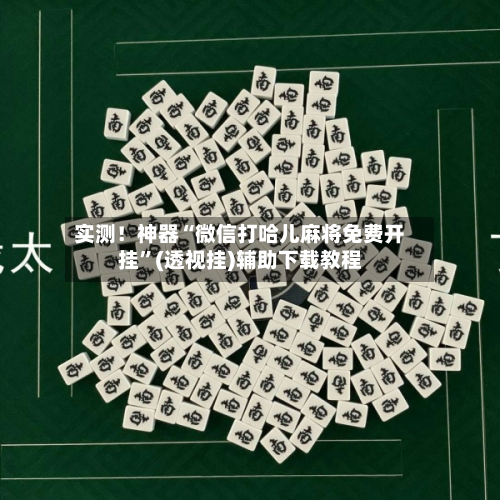 实测！神器“微信打哈儿麻将免费开挂”(透视挂)辅助下载教程-第3张图片