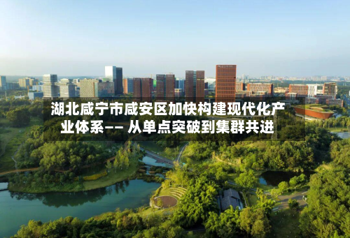 湖北咸宁市咸安区加快构建现代化产业体系—— 从单点突破到集群共进-第2张图片