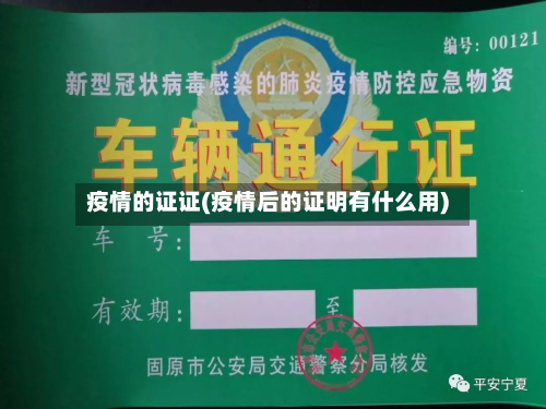 疫情的证证(疫情后的证明有什么用)-第1张图片
