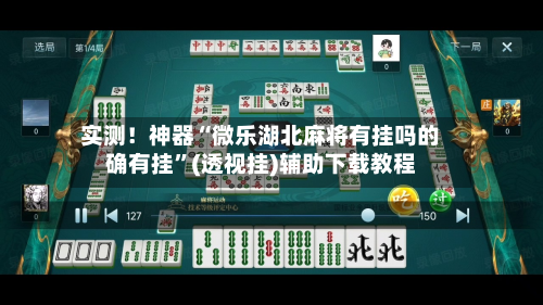 实测！神器“微乐湖北麻将有挂吗的确有挂”(透视挂)辅助下载教程-第1张图片