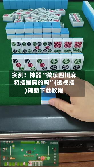 实测！神器“微乐四川麻将挂是真的吗”(透视挂)辅助下载教程-第2张图片