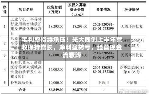 毛利率持续承压！光大同创上半年营收保持增长，净利盈转亏，经营现金流骤降-第3张图片