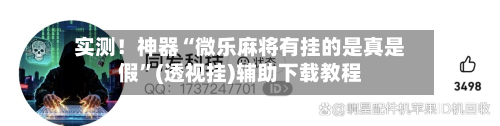 实测！神器“微乐麻将有挂的是真是假”(透视挂)辅助下载教程-第1张图片