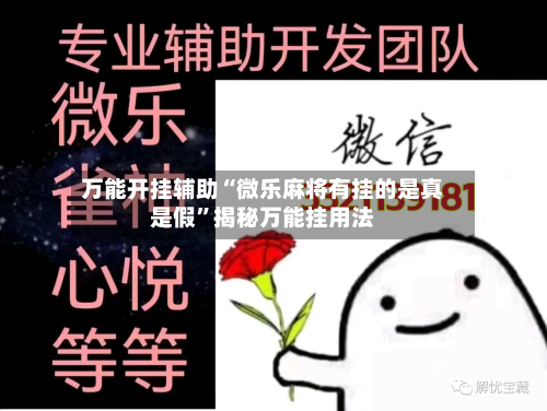 万能开挂辅助“微乐麻将有挂的是真是假”揭秘万能挂用法-第1张图片