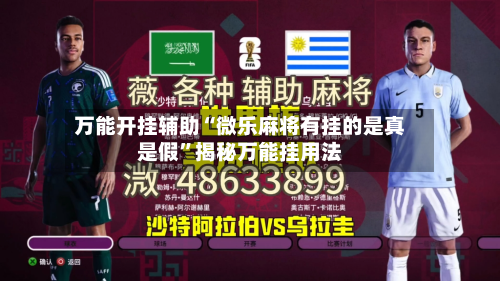 万能开挂辅助“微乐麻将有挂的是真是假	”揭秘万能挂用法-第2张图片