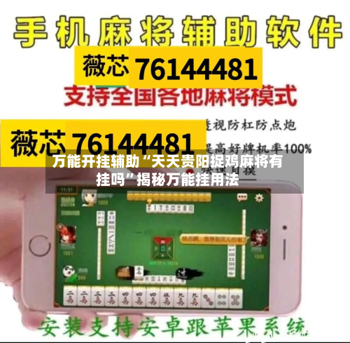 万能开挂辅助“天天贵阳捉鸡麻将有挂吗	”揭秘万能挂用法-第2张图片