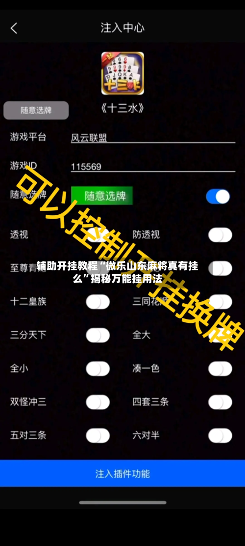 辅助开挂教程“微乐山东麻将真有挂么”揭秘万能挂用法-第1张图片