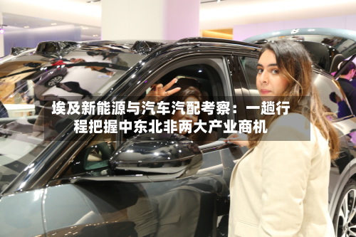 埃及新能源与汽车汽配考察：一趟行程把握中东北非两大产业商机-第1张图片
