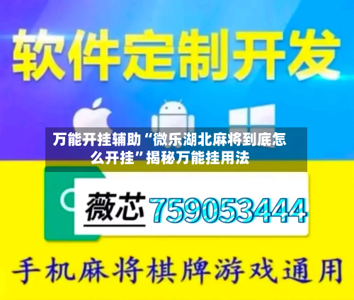 万能开挂辅助“微乐湖北麻将到底怎么开挂”揭秘万能挂用法-第2张图片