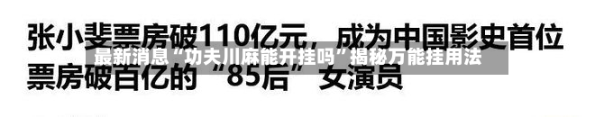 最新消息“功夫川麻能开挂吗”揭秘万能挂用法-第2张图片