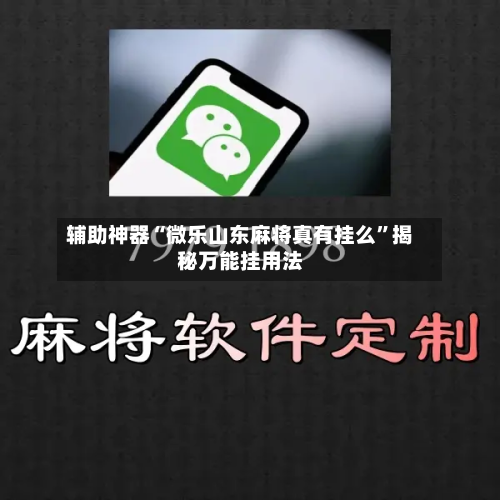辅助神器“微乐山东麻将真有挂么	”揭秘万能挂用法-第1张图片