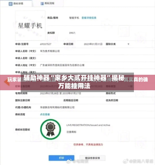 辅助神器“家乡大贰开挂神器”揭秘万能挂用法-第1张图片