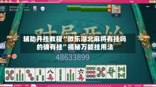 辅助开挂教程“微乐湖北麻将有挂吗的确有挂”揭秘万能挂用法-第3张图片