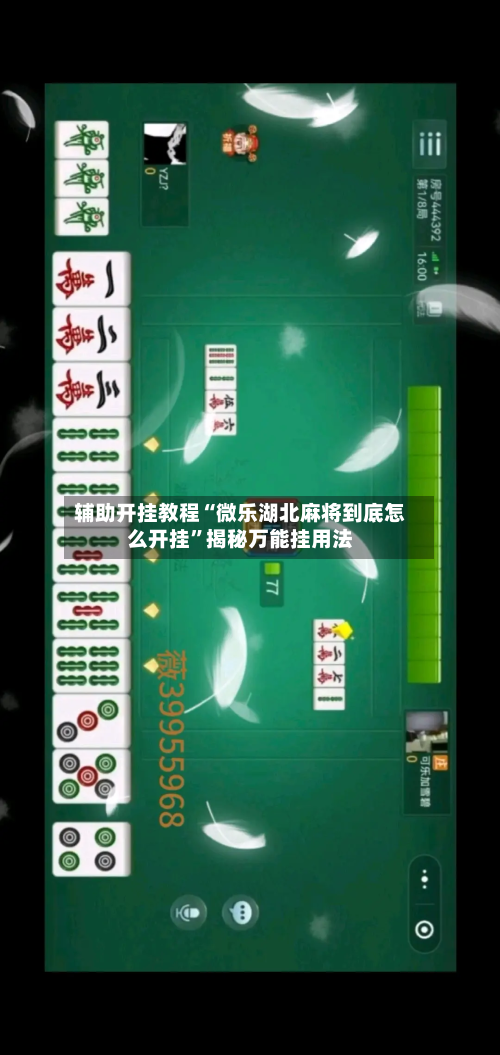 辅助开挂教程“微乐湖北麻将到底怎么开挂”揭秘万能挂用法-第2张图片