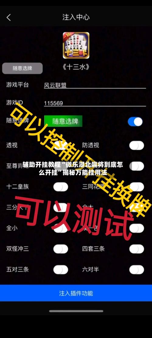 辅助开挂教程“微乐湖北麻将到底怎么开挂”揭秘万能挂用法-第1张图片