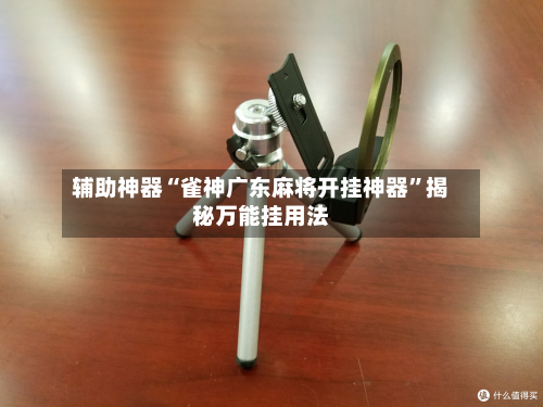 辅助神器“雀神广东麻将开挂神器”揭秘万能挂用法-第1张图片