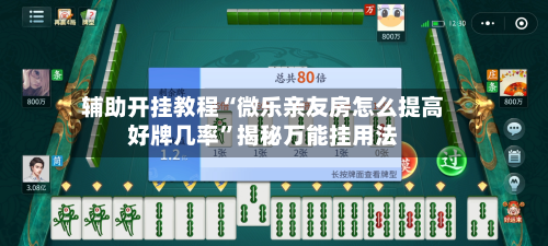 辅助开挂教程“微乐亲友房怎么提高好牌几率	”揭秘万能挂用法-第1张图片