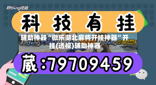 辅助神器“微乐湖北麻将开挂神器	”开挂(透视)辅助神器-第1张图片