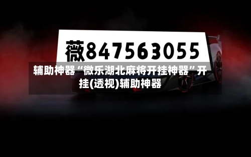 辅助神器“微乐湖北麻将开挂神器”开挂(透视)辅助神器-第2张图片