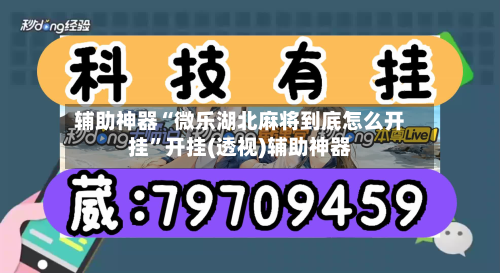 辅助神器“微乐湖北麻将到底怎么开挂”开挂(透视)辅助神器-第2张图片