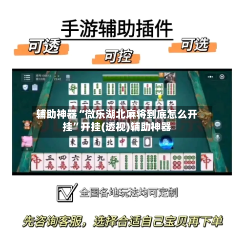 辅助神器“微乐湖北麻将到底怎么开挂	”开挂(透视)辅助神器-第1张图片