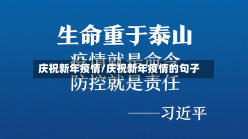 庆祝新年疫情/庆祝新年疫情的句子-第3张图片